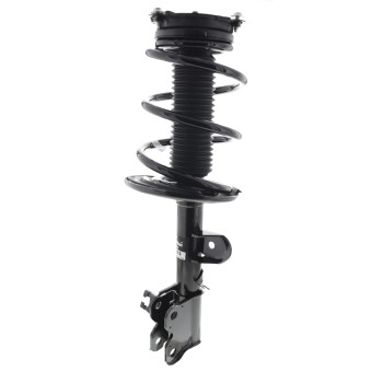 Suspension Strut and Coil Spring Assembly