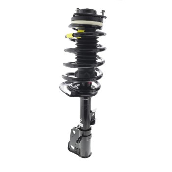 Suspension Strut and Coil Spring Assembly