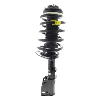 Suspension Strut and Coil Spring Assembly