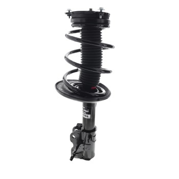 Suspension Strut and Coil Spring Assembly