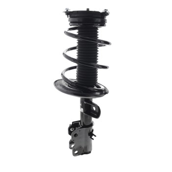 Suspension Strut and Coil Spring Assembly