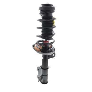 Suspension Strut and Coil Spring Assembly