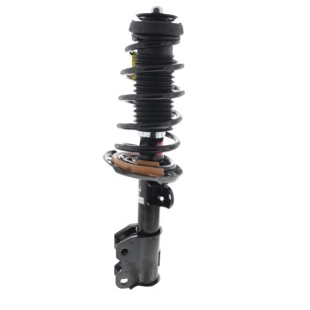 Suspension Strut and Coil Spring Assembly