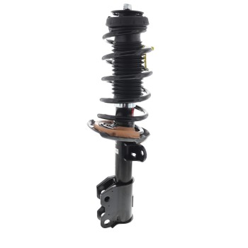 Suspension Strut and Coil Spring Assembly