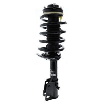 Suspension Strut and Coil Spring Assembly