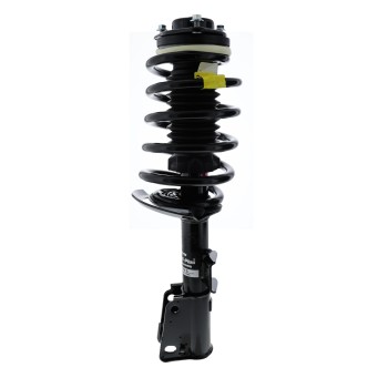 Suspension Strut and Coil Spring Assembly