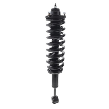Suspension Strut and Coil Spring Assembly