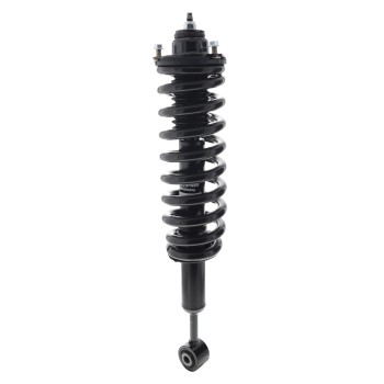 Suspension Strut and Coil Spring Assembly