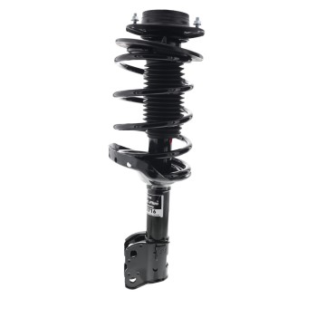 Suspension Strut and Coil Spring Assembly