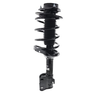 Suspension Strut and Coil Spring Assembly
