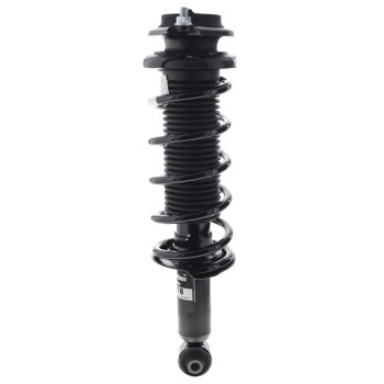 Suspension Strut and Coil Spring Assembly