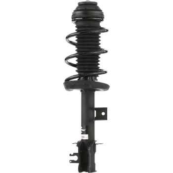 Suspension Strut and Coil Spring Assembly
