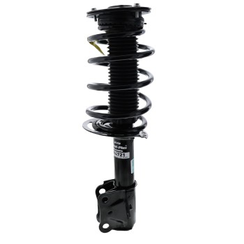 Suspension Strut and Coil Spring Assembly