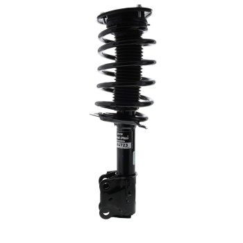 Suspension Strut and Coil Spring Assembly