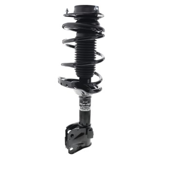 Suspension Strut and Coil Spring Assembly