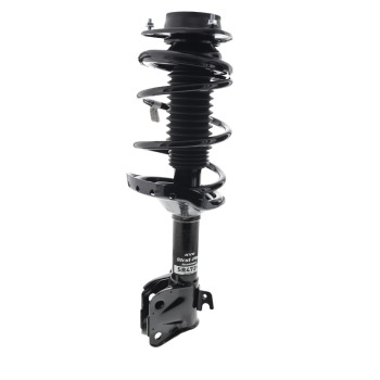 Suspension Strut and Coil Spring Assembly