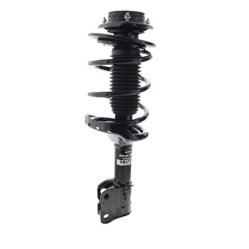 Suspension Strut and Coil Spring Assembly