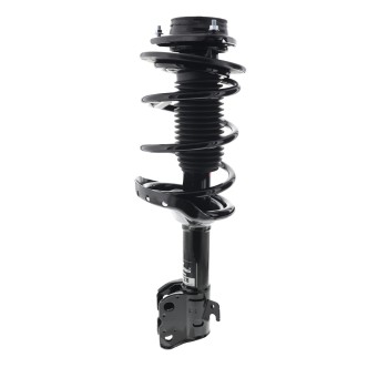 Suspension Strut and Coil Spring Assembly