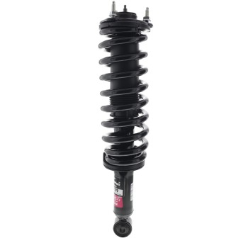 Suspension Strut and Coil Spring Assembly