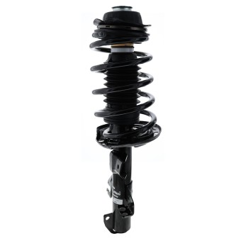 Suspension Strut and Coil Spring Assembly
