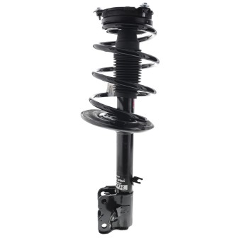 Suspension Strut and Coil Spring Assembly