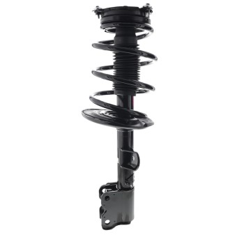 Suspension Strut and Coil Spring Assembly