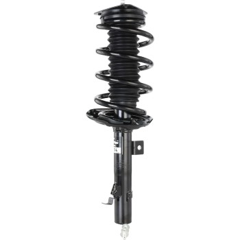Suspension Strut and Coil Spring Assembly