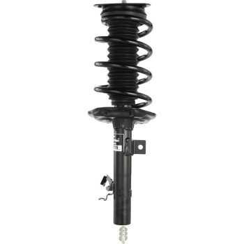 Suspension Strut and Coil Spring Assembly