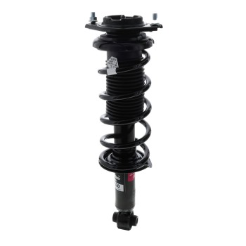 Suspension Strut and Coil Spring Assembly