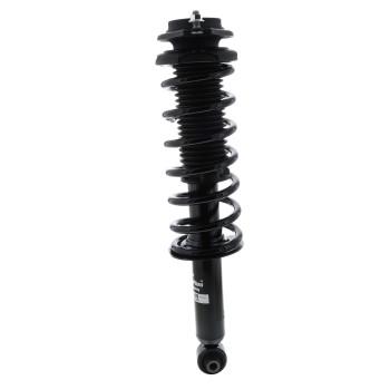 Suspension Strut and Coil Spring Assembly