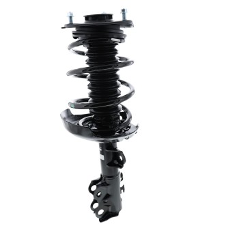 Suspension Strut and Coil Spring Assembly