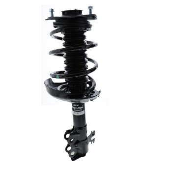 Suspension Strut and Coil Spring Assembly