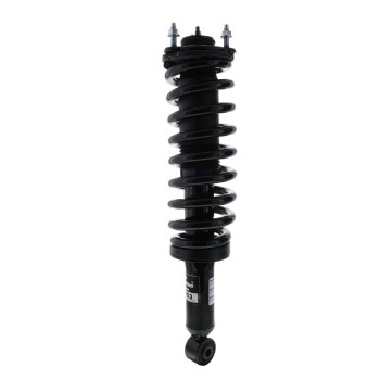 Suspension Strut and Coil Spring Assembly
