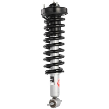 Suspension Strut and Coil Spring Assembly