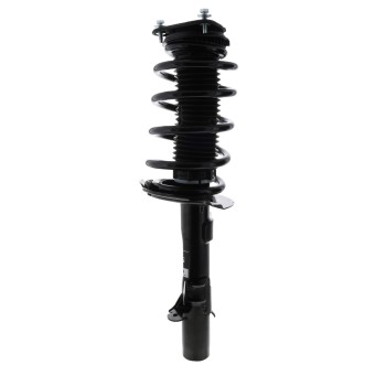 Suspension Strut and Coil Spring Assembly