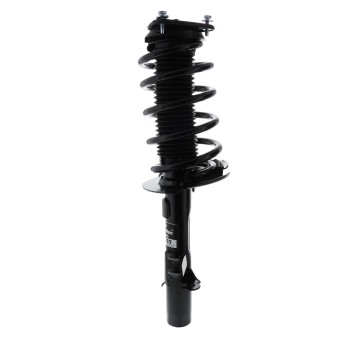 Suspension Strut and Coil Spring Assembly