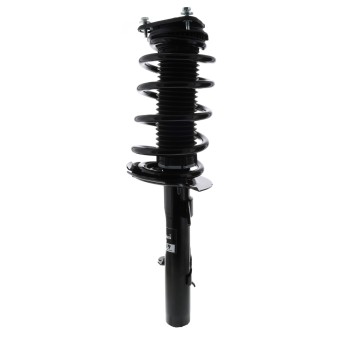 Suspension Strut and Coil Spring Assembly