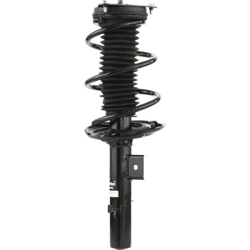 Suspension Strut and Coil Spring Assembly