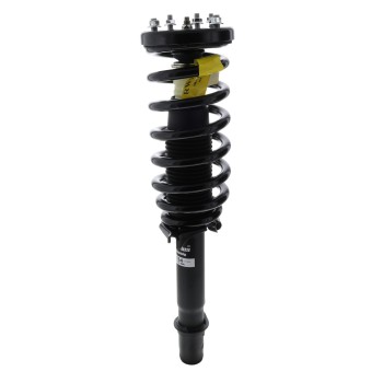Suspension Strut and Coil Spring Assembly