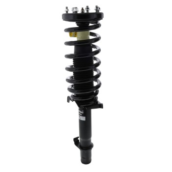 Suspension Strut and Coil Spring Assembly
