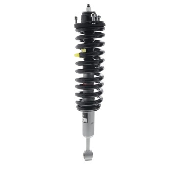 Suspension Strut and Coil Spring Assembly