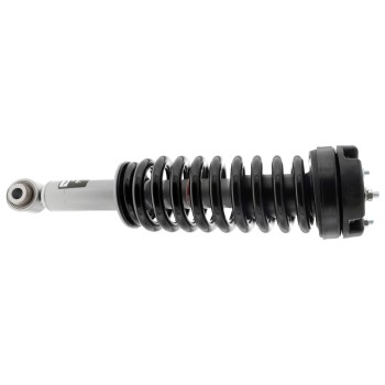 Suspension Strut and Coil Spring Assembly