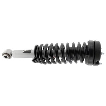 Suspension Strut and Coil Spring Assembly