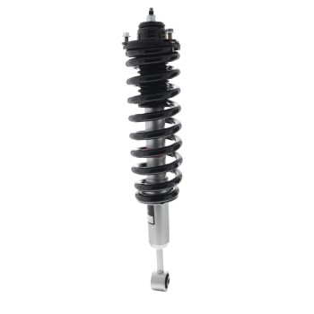 Suspension Strut and Coil Spring Assembly