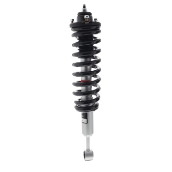 Suspension Strut and Coil Spring Assembly
