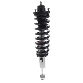 Suspension Strut and Coil Spring Assembly