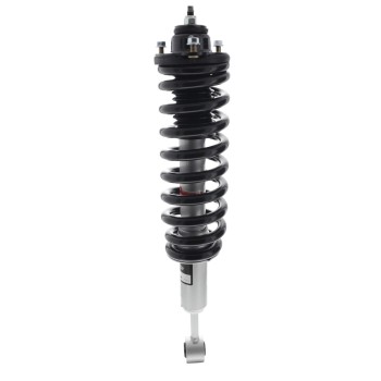 Suspension Strut and Coil Spring Assembly