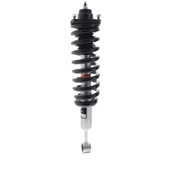 Suspension Strut and Coil Spring Assembly