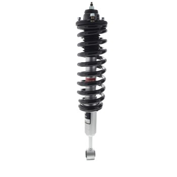 Suspension Strut and Coil Spring Assembly