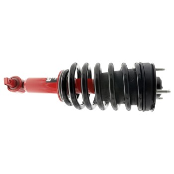 Suspension Strut and Coil Spring Assembly